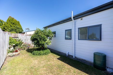 Photo of property in 3b Princess Street, Te Puke, 3119