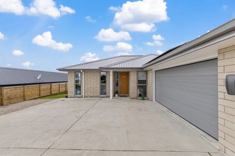 Photo of property in 19 Fairview Street, Tirau, 3410