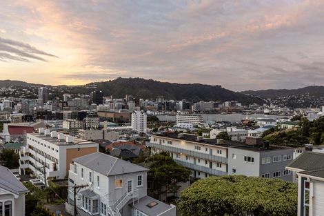 Photo of property in 17 Austin Street, Mount Victoria, Wellington, 6011