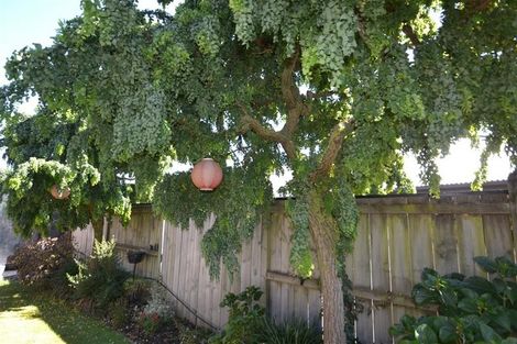 Photo of property in 63 Templemore Drive, Richmond, 7020