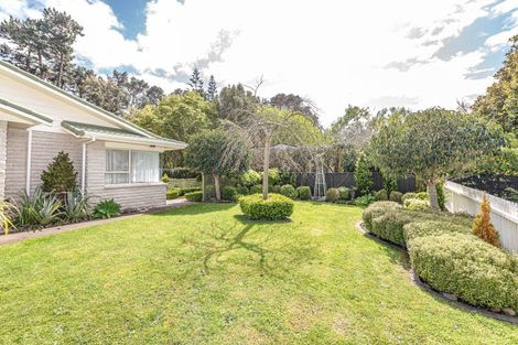Photo of property in 41 Downes Avenue, Springvale, Whanganui, 4501
