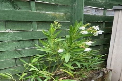 Photo of property in 3/46 Ngatoto Street, Ngaio, Wellington, 6035