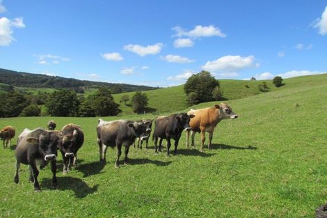 Photo of property in 1787 State Highway 14, Wheki Valley, Whangarei, 0179