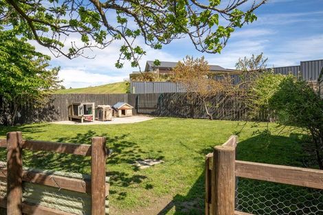 Photo of property in 182 Tarbert Street, Alexandra, 9320