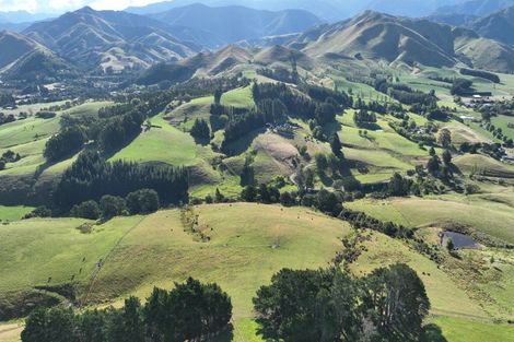 Photo of property in 84 Falloon Settlement Road, Kaituna, Masterton, 5888