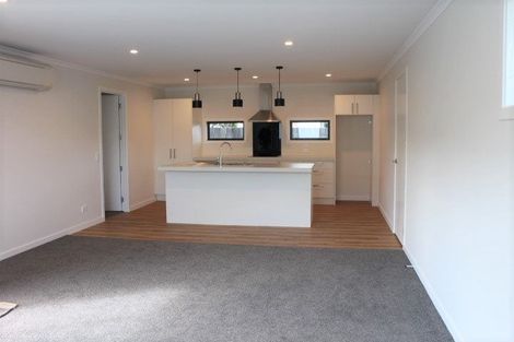 Photo of property in 34b Donegal Street, Cromwell, 9310