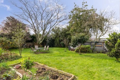 Photo of property in 518a Fenwick Street, Mayfair, Hastings, 4122