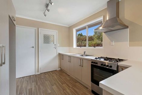 Photo of property in 40 Leefield Street, Blenheim, 7201