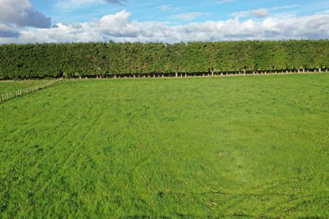 Photo of property in 22 Pahiatua Pongaroa Road, Pahiatua, 4982