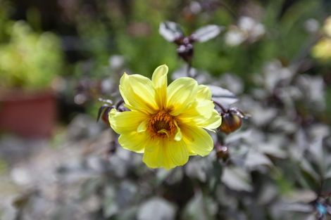 Photo of property in 25a Manawa Avenue, Raumati Beach, Paraparaumu, 5032