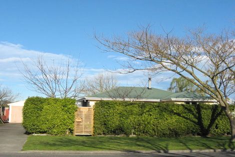 Photo of property in 402 Hemi Street, Raureka, Hastings, 4120