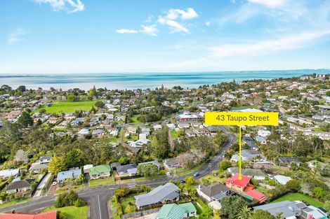 Photo of property in 43 Taupo Street, Green Bay, Auckland, 0604
