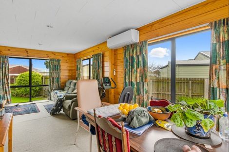 Photo of property in 57 Tiro Tiro Road, Levin, 5510
