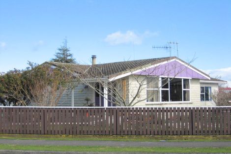 Photo of property in 28 Braemar Street, Levin, 5510