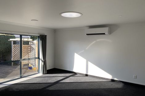 Photo of property in 16 Hastings Place, Hamilton Lake, Hamilton, 3204