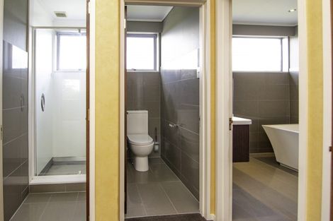 Photo of property in 43 Dittmer Drive, Awapuni, Palmerston North, 4412