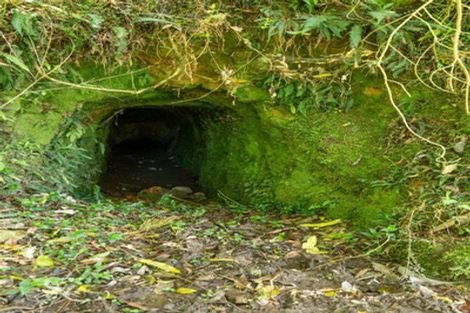 Photo of property in 15 Toots Drive, Kawakawa, 0282