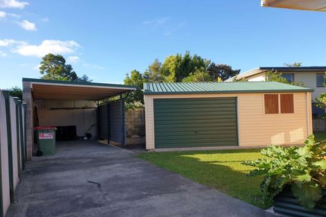 Photo of property in 17 Sussex Street, Chartwell, Hamilton, 3210