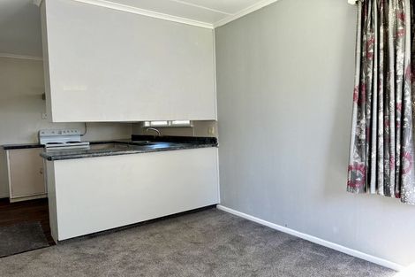 Photo of property in 20 Mckenzie Street, Levin, 5510
