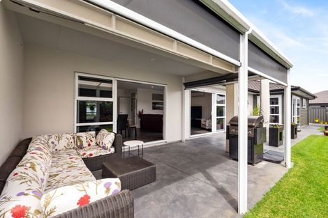 Photo of property in 21 Meissner Road, Havelock North, 4130