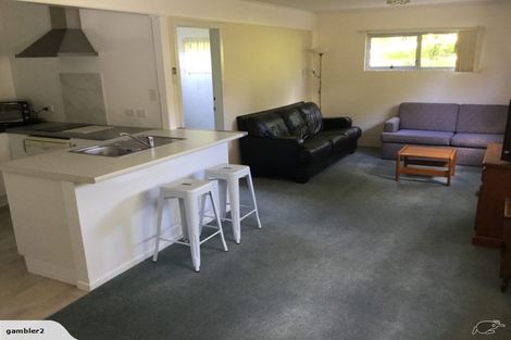 Photo of property in 80 Taipari Street, Maungatapu, Tauranga, 3112