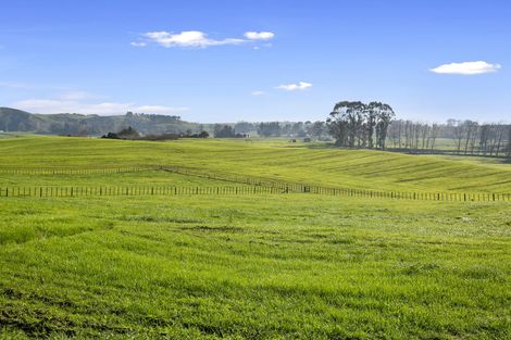 Photo of property in 163 Starkey Road, Morrinsville, 3371