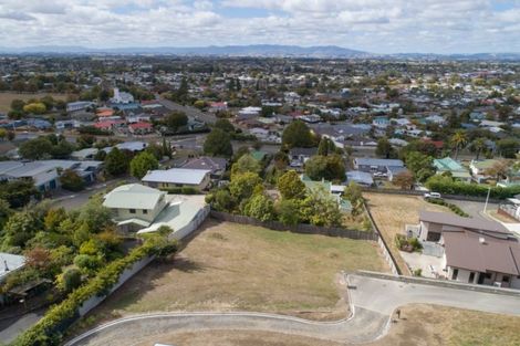 Photo of property in 6 Debonair Court, Feilding, 4702