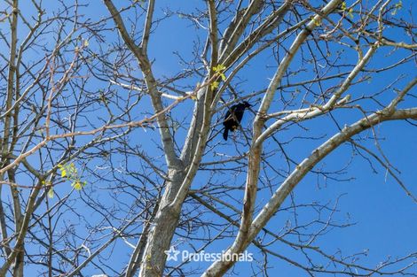 Photo of property in 26 Talbot Grove, Trentham, Upper Hutt, 5018