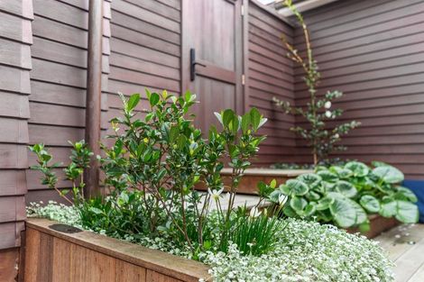 Photo of property in 1/69 Princes Street, Northcote Point, Auckland, 0627