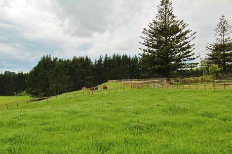 Photo of property in 290 Hunter Road, Patumahoe, Pukekohe, 2679