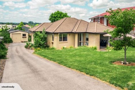 Photo of property in 241 Te Tomo Street, Te Awamutu, 3800