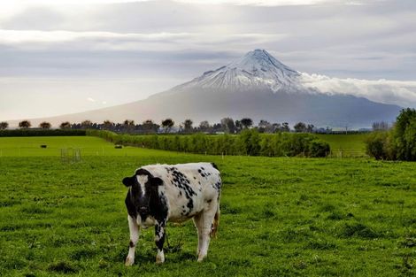 Photo of property in 357 Katene Road, Normanby, Hawera, 4675