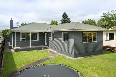 Photo of property in 42 Manson Street, Terrace End, Palmerston North, 4410