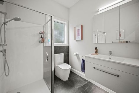 Photo of property in 21 Lloyd Avenue, Mount Albert, Auckland, 1025