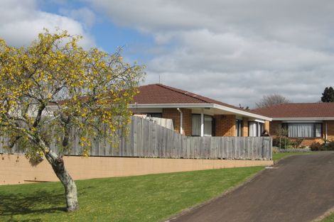 Photo of property in 64 Fifth Avenue, Tauranga, 3110