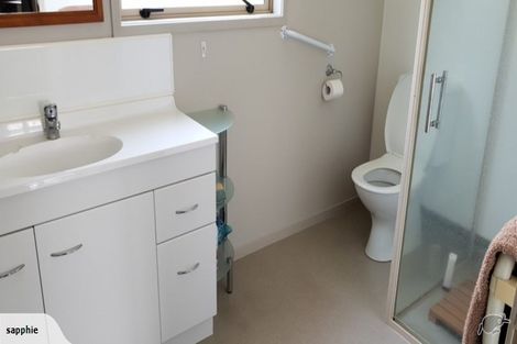 Photo of property in 54a Mulgrave Street, Ashhurst, 4810