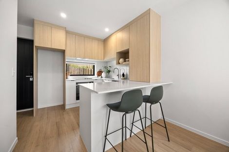 Photo of property in 30e Flaxdale Street, Birkdale, Auckland, 0626