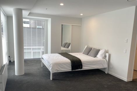 Photo of property in Pinnacle Apartments, W303/160 Victoria Street, Te Aro, Wellington, 6011