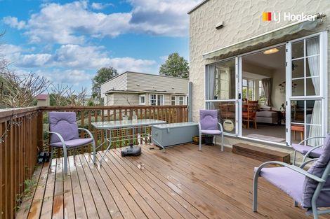 Photo of property in 19 Strathearn Avenue, Wakari, Dunedin, 9010