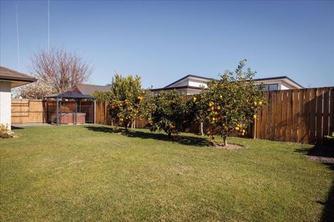 Photo of property in 11 Allington Place, Bethlehem, Tauranga, 3110