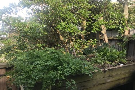 Photo of property in 246 Houghton Bay Road, Houghton Bay, Wellington, 6023