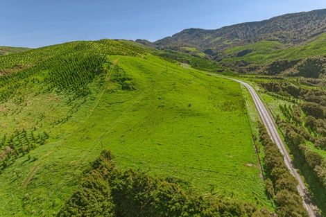 Photo of property in 3884 Pahiatua Pongaroa Road, Pongaroa, Pahiatua, 4989