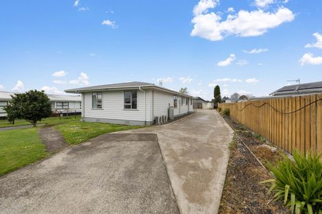 Photo of property in 14 Goodwin Street, Tirau, 3410