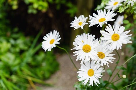 Photo of property in 61 Cannington Road, Maori Hill, Dunedin, 9010