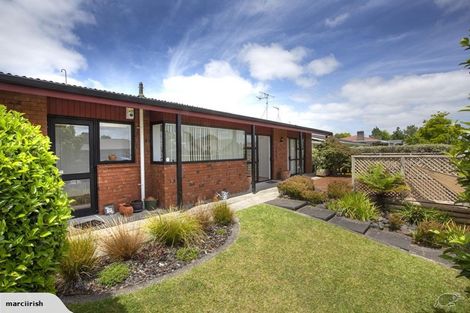 Photo of property in 15 Rossiter Place, Chartwell, Hamilton, 3210