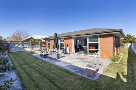 Photo of property in 22 Windsor Close, Springlands, Blenheim, 7201