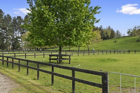 Photo of property in 591c Pencarrow Road, Tamahere, Hamilton, 3283