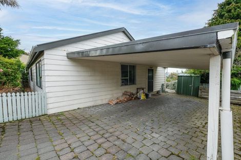 Photo of property in 28 Pennant Street, Wakari, Dunedin, 9010