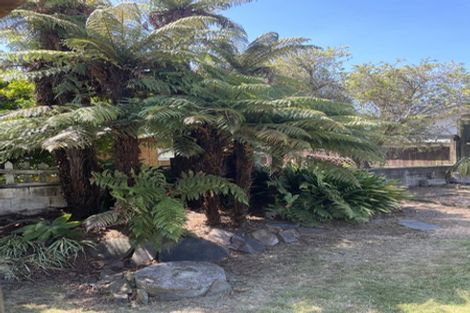 Photo of property in 127 Sixteenth Avenue, Tauranga South, Tauranga, 3112