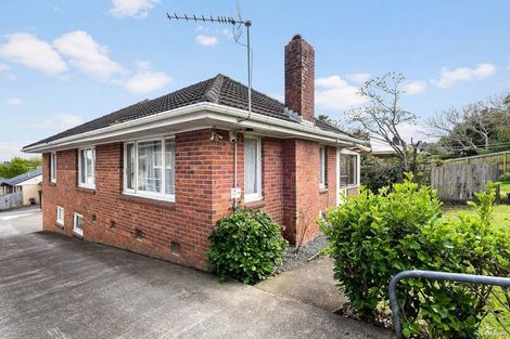 Photo of property in 101 Hutchinson Avenue, New Lynn, Auckland, 0600